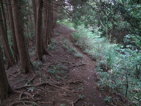 20171005hike (237)